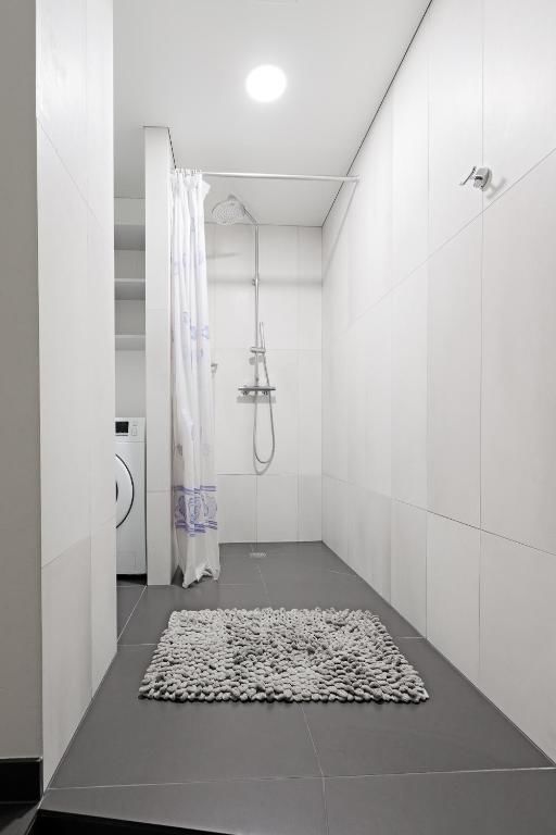 Апартаменты Buddha Luxury Apartment Kaunas city centre Каунас
